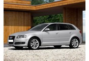 Uitlaatsysteem AUDI A3 1.4 TFSI (Sportback)