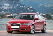 Uitlaatsysteem AUDI A3 1.6 FSi (Sportback)