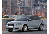 Uitlaatsysteem AUDI A3 1.6 FSi (Sportback)