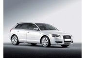 Uitlaatsysteem AUDI A3 2.0 FSi (Sportback)