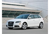 Uitlaatsysteem AUDI A3 2.0 TDi (Sportback)