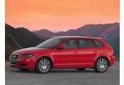 Uitlaatsysteem AUDI A3 2.0 TDi (Sportback S-Line)