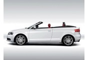 Uitlaatsysteem AUDI A3 1.2 TSi (Cabrio|Cabriolet)