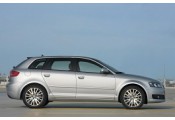 Uitlaatsysteem AUDI A3 Quattro 2.0 TDi (Sportback)