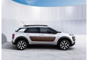 Uitlaatsysteem CITROEN C4 Cactus 1.6 HDi (Hatchback)