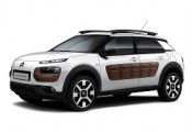 Uitlaatsysteem CITROEN C4 Cactus 1.2 THP (Hatchback)