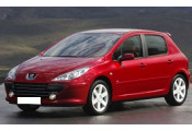 Uitlaatsysteem PEUGEOT 307 1.4i - 16V (Hatchback)