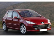 Uitlaatsysteem PEUGEOT 307 1.6 HDi TD (Hatchback)