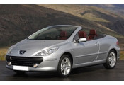 Uitlaatsysteem PEUGEOT 307 CC 1.6i - 16V