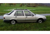 Uitlaatsysteem PEUGEOT 309 1.6