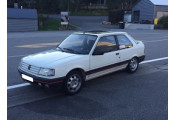 Uitlaatsysteem PEUGEOT 309 1.9 GTi