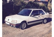 Uitlaatsysteem PEUGEOT 309 1.9 GTi