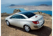 Uitlaatsysteem RENAULT Megane II CC 1.9 dCi TD (Cabrio, Coupé)