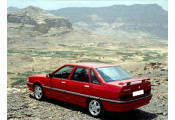 Uitlaatsysteem RENAULT R21 1.7i (Sedan)
