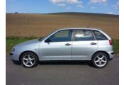 Uitlaatsysteem SEAT Ibiza 1.6i
