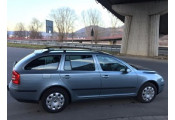 Uitlaatsysteem SKODA Octavia 2.0 TDi TD (Combi, Hatchback)